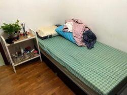 Evergreen Park (D19), Apartment #524143051